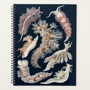 Vintage Haeckel Nudibranch Ocean Art Planner