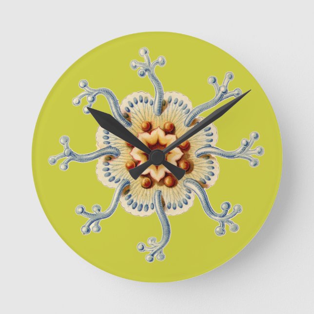 Vintage Haeckel Round Clock (Front)