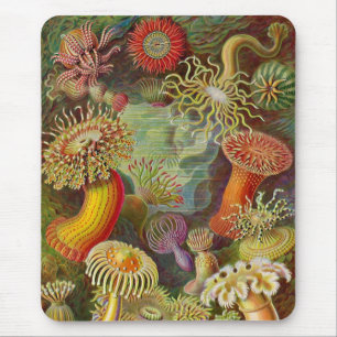 Vintage Haeckel Sea Anemone Mouse Pad