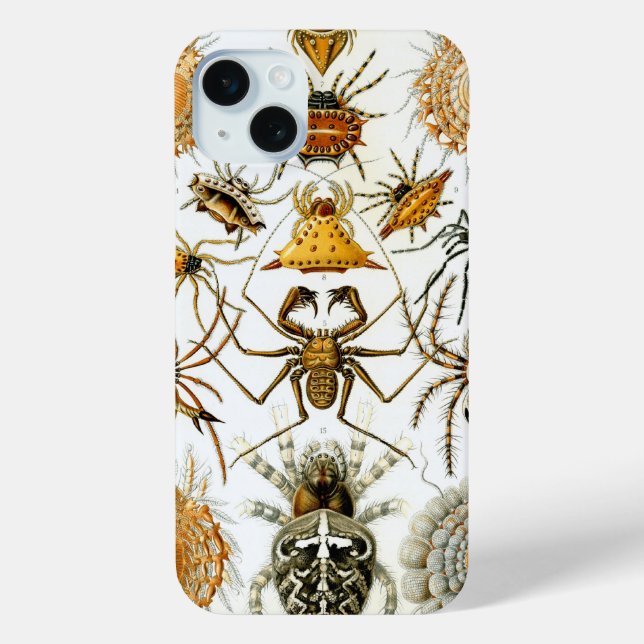 Vintage Haeckel Spiders Case-Mate iPhone Case (Back)