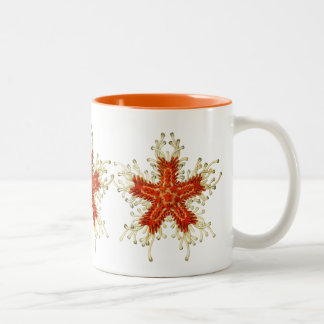 Vintage Haeckel Starfish Two-Tone Coffee Mug
