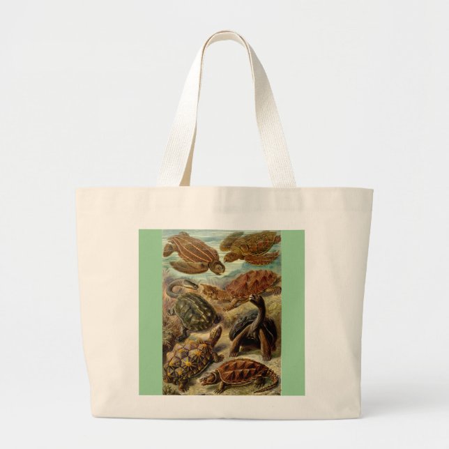 Vintage Haeckel Turtles Large Tote Bag (Front)
