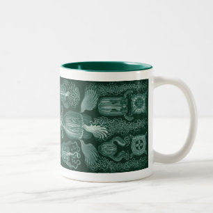 Vintage Haeckel Two-Tone Coffee Mug