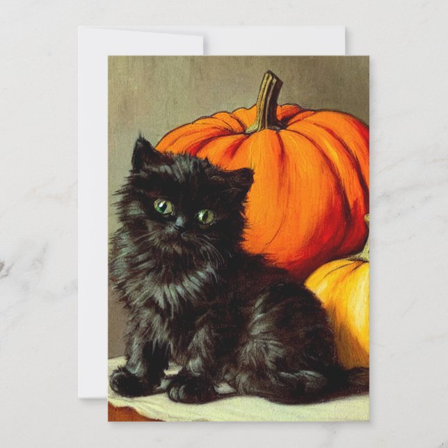 Vintage Halloween Black Cat and Pumpkins Invitation (Front)