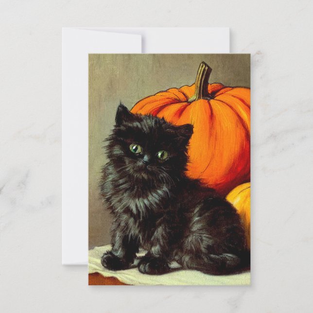Vintage Halloween Black Cat and Pumpkins RSVP Card (Front)
