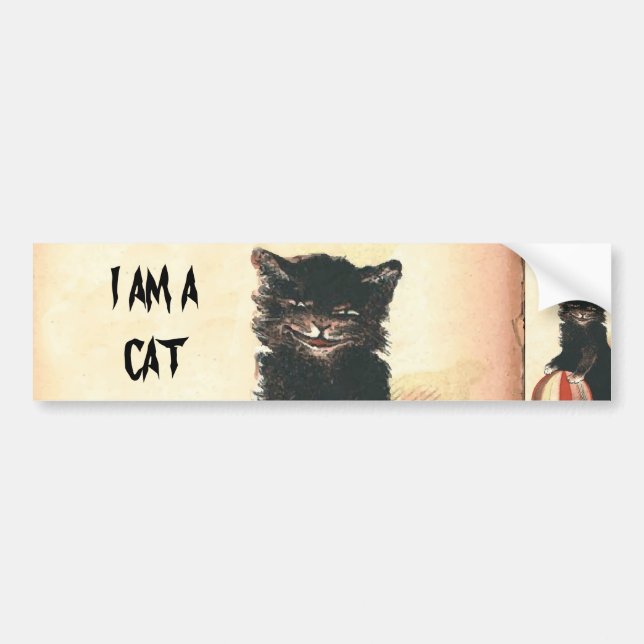 Vintage HALLOWEEN Black Cat Bumper Sticker (Front)
