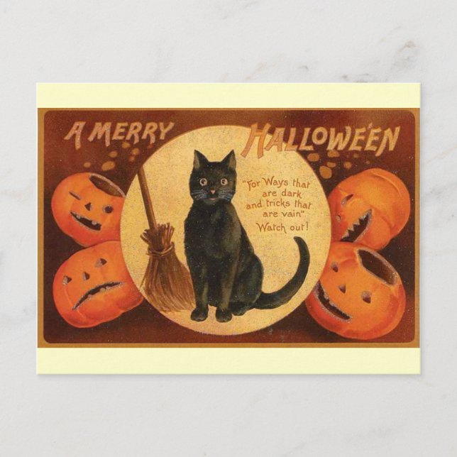 Vintage Halloween Black Cat Postcard (Front)