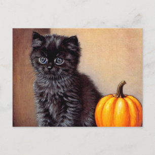 Vintage Halloween Black Kitten Illustration Postcard