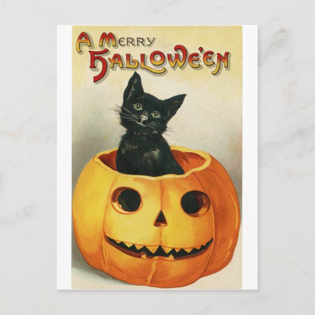 Vintage Halloween Card | Black Cat in Pumpkin (Front)