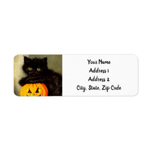 Vintage Halloween Cat and Jack-o’-lantern