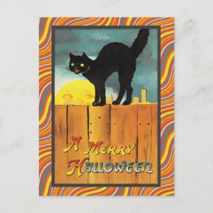 Vintage Halloween Cat Postcard