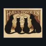 Vintage Halloween Cats Postcard<br><div class="desc">Vintage Halloween Cats Postcard. High quality, custom restored vintage image.</div>