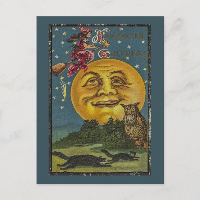 Vintage Halloween Funny Owl Illustration Postcard (Front)