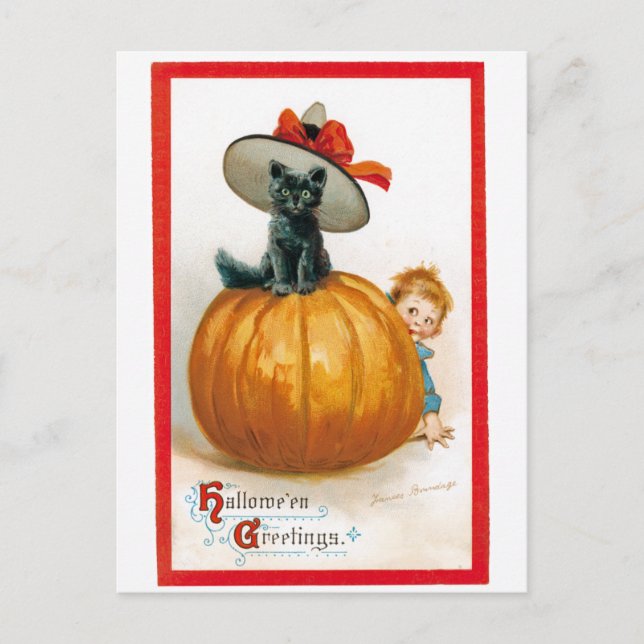 Vintage Halloween Greeting Black Cat Holiday Postcard (Front)