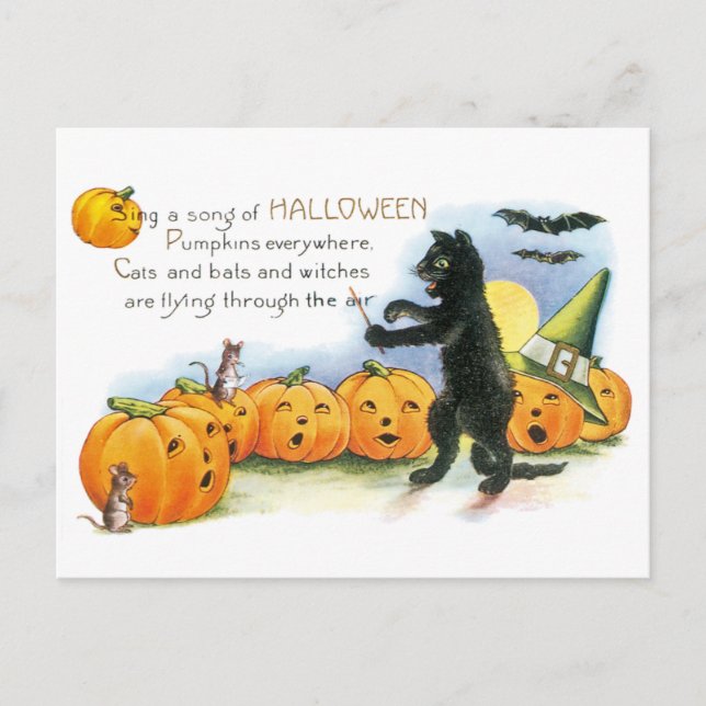 Vintage Halloween Greeting Black Cat JackoLantern Postcard (Front)