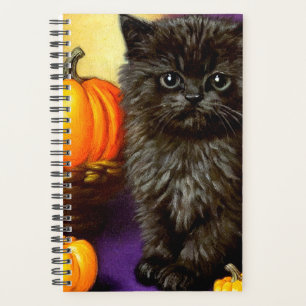 Vintage Halloween Kitten