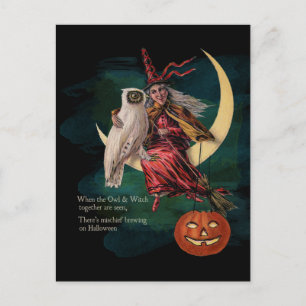 Vintage Halloween Owl and Witch Postcard