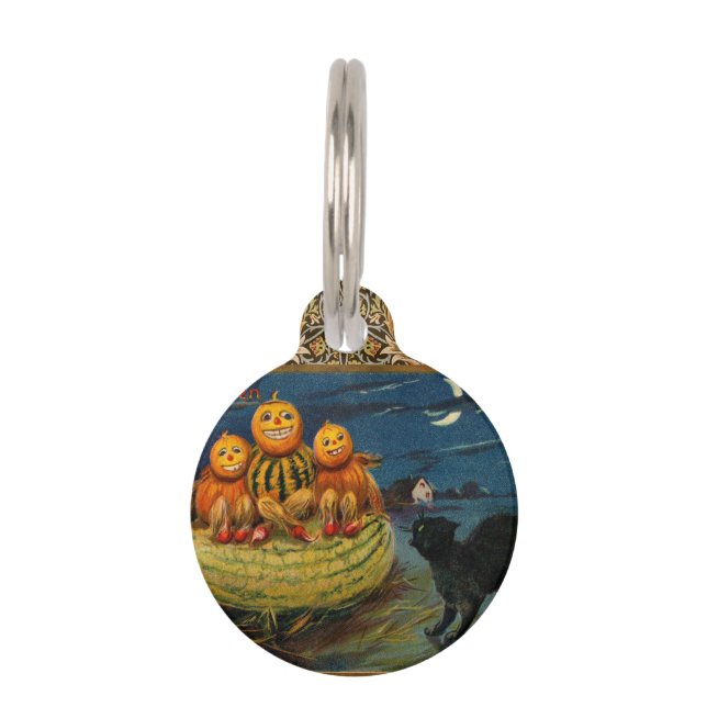 Vintage Halloween Pumpkins Black Cat Pet Tag (Front)