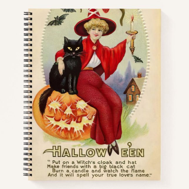 Vintage Halloween Witch and Black Cat Notebook (Front)