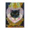 Vintage Halloween witch moon cat postcard