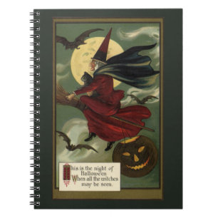 Vintage Halloween Witch Riding Broomstick with Cat Notebook