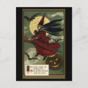 Vintage Halloween Witch Riding Broomstick with Cat Postcard