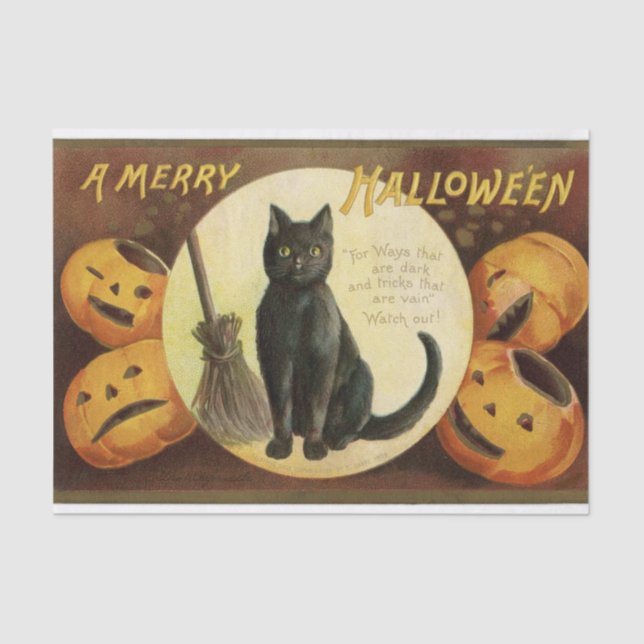 Vintage Halloween Witch's Black Cat & Pumpkins Tissue Paper (Front)