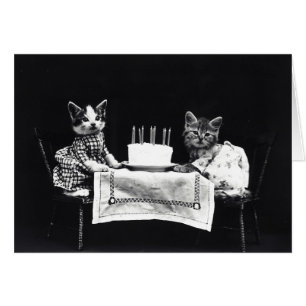 Vintage - Happy Birthday Kittens (Blank Inside),