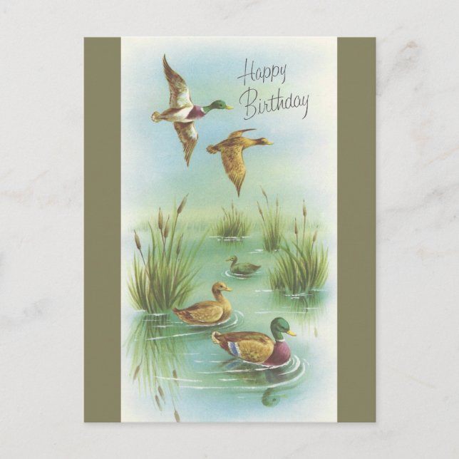 Vintage Happy Birthday With Ducks Postcard (Front)