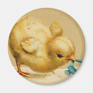 Vintage Happy Easter Chick with Blue Flowers Magnet