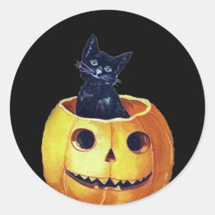Vintage Happy Halloween Kitty in a Pumpkin Classic Round Sticker