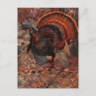 Vintage Happy Thanksgiving Turkey Holiday Postcard