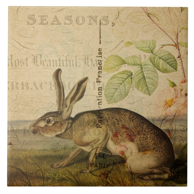 Vintage Hare Animal Illustration Floral Collage Tile (Front)