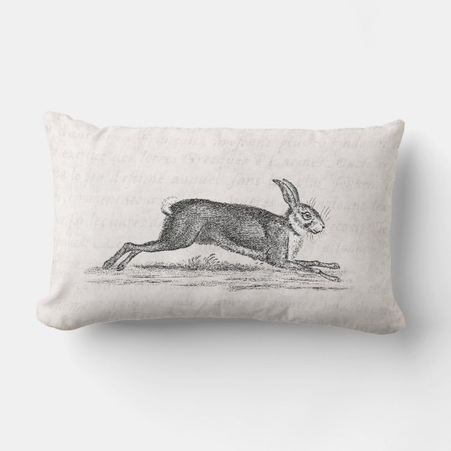 Vintage Hare Bunny Rabbit 1800s Illustration Lumbar Pillow (Front)