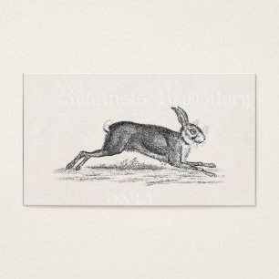 Vintage Hare Bunny Rabbit Illustration - Rabbits