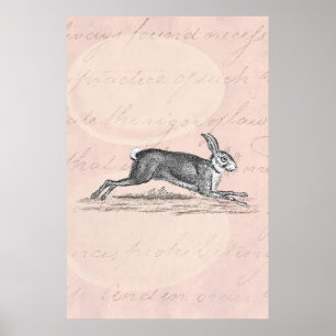 Vintage Hare Bunny Rabbit Illustration - Rabbits Poster
