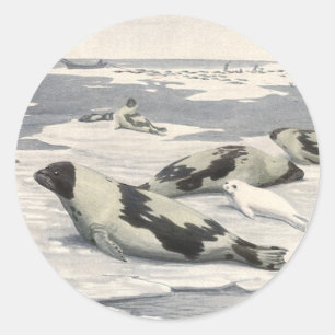 Vintage Harp Seals in Arctic Snow by Louis Fuertes