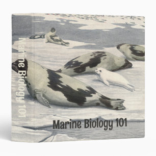 Vintage Harp Seals in Arctic Snow by Louis Fuertes Binder