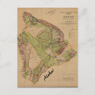 Vintage Hawaii Postcard Aloha