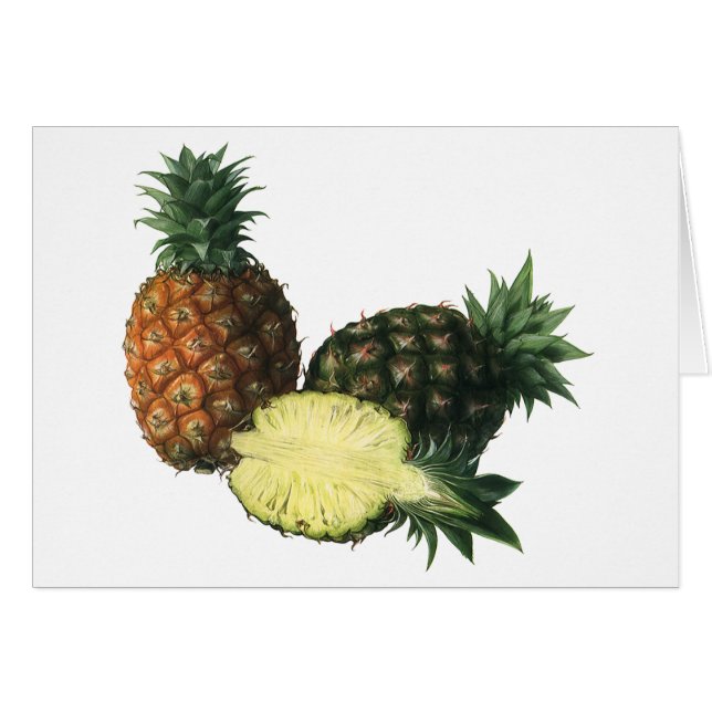 Vintage Hawaiian Pineapples, Organic Food Fruit (Front Horizontal)