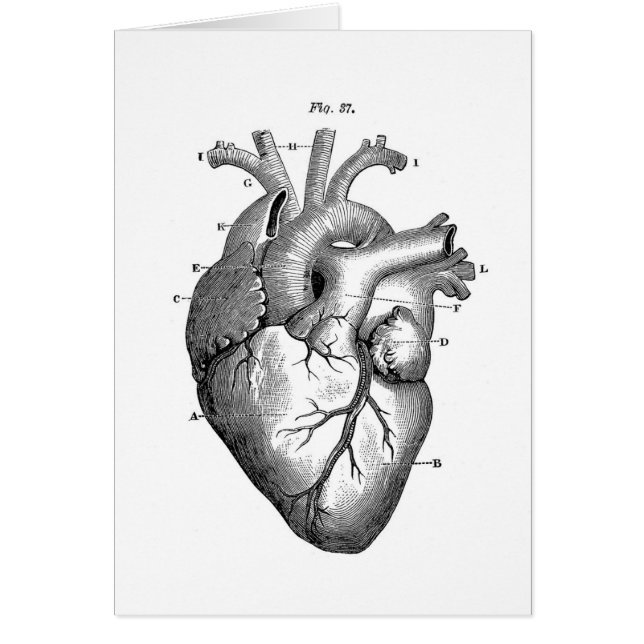 Vintage Heart Anatomy | Customizable (Front)