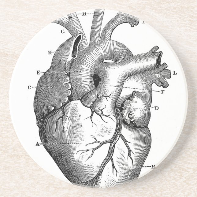 Vintage Heart Anatomy | Customizable Coaster (Front)