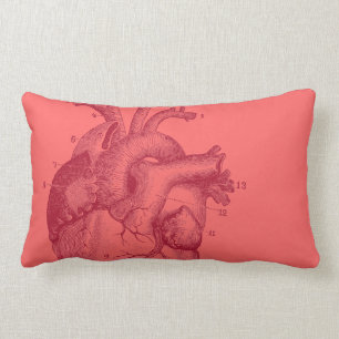 Vintage Heart - anatomy Lumbar Pillow