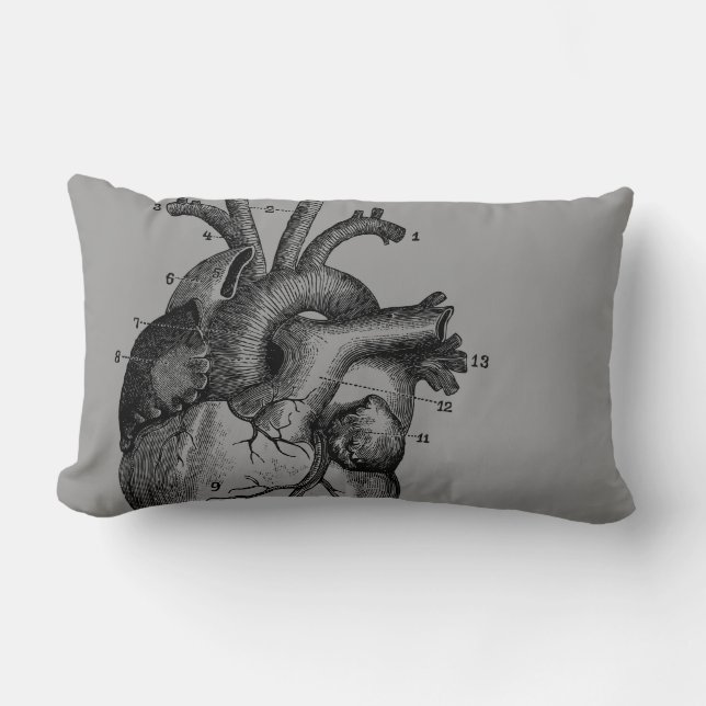 Vintage Heart - anatomy Lumbar Pillow (Front)