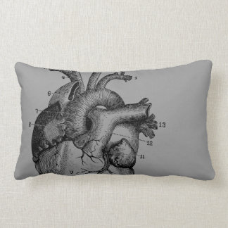 Vintage Heart - anatomy Lumbar Pillow