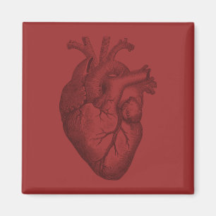 Vintage Heart Illustration Magnet