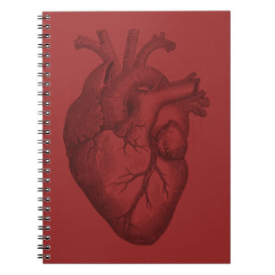 Vintage Heart Illustration Notebook