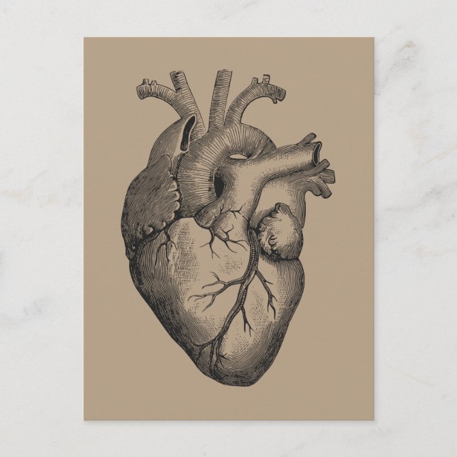 Vintage Heart Illustration Postcard (Front)