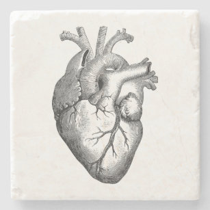 Vintage Heart Illustration Stone Coaster