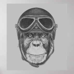Vintage Helmet Chimpanzee Poster